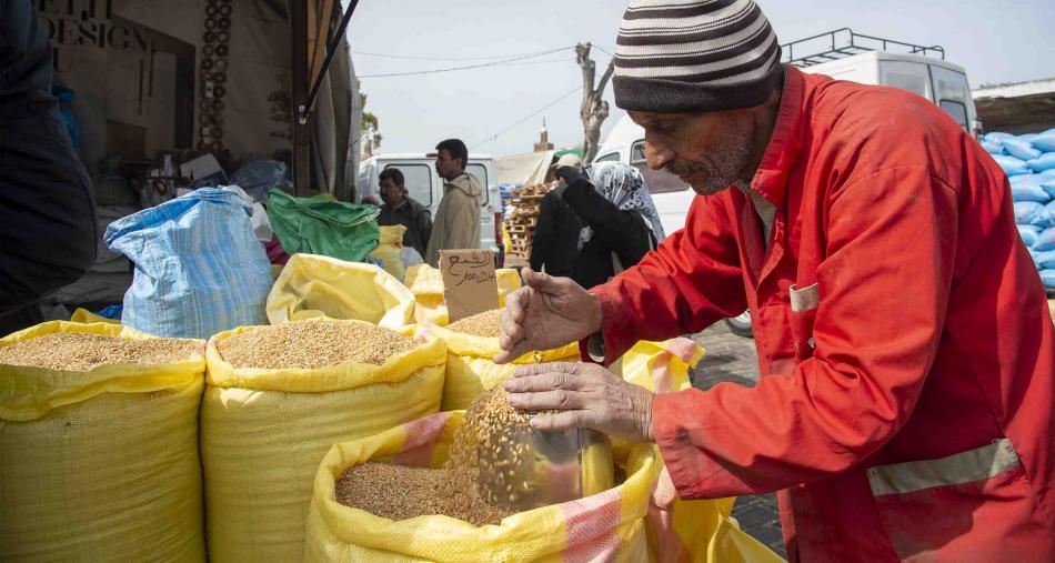 الأزمة الروسية الأوكرانية .. هل يخشى المغرب نقص القمح؟