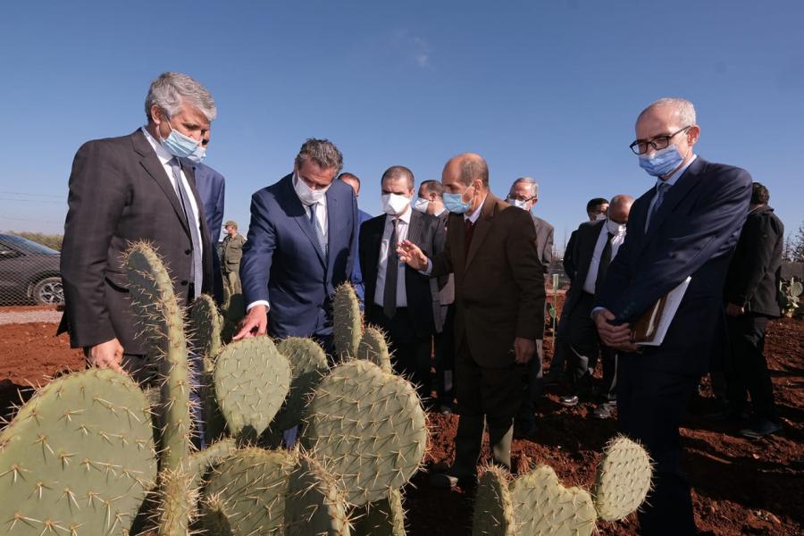 Agriculture : Le ministère au chevet des cactus 
