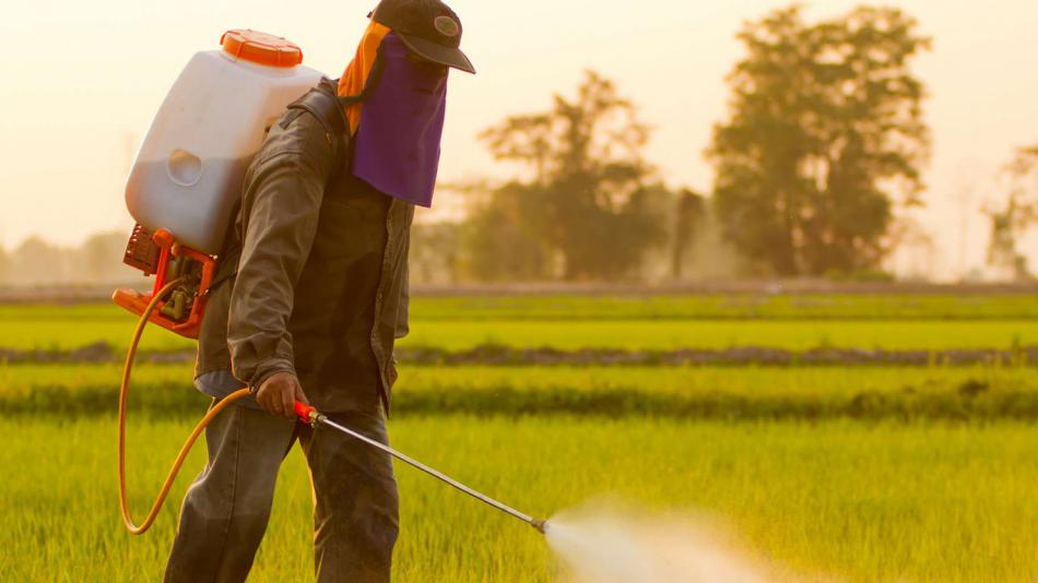Liens établis entre l'exposition aux pesticides et au moins six maladies graves 
