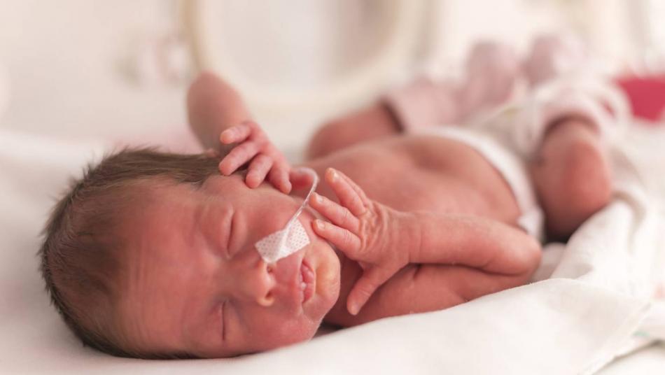 Une première en France: naissance d'un bébé après une greffe d'utérus