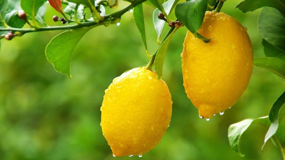 عين الفلاحين على أمطار مارس وأبريل