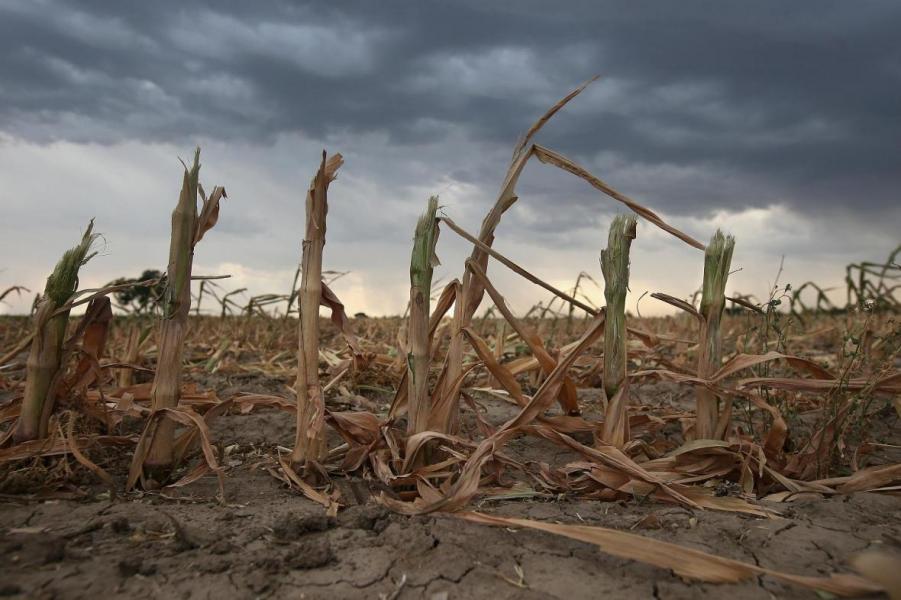 Climat: le Mexique décrète l'état d'urgence pour sécheresse "sévère, extrême, exceptionnelle"