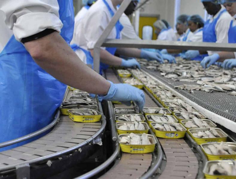 Construction d'une nouvelle unité de conserve de poissons à Safi