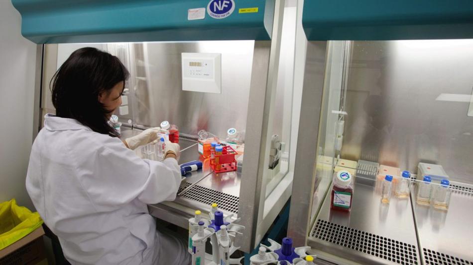 Recherche scientifique: un domaine "à dominance masculine"