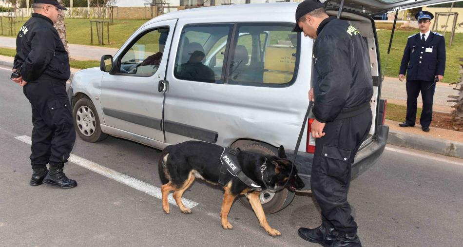 El Jadida: Interpellation d'un individu pour son implication présumée dans des affaires d'homicide volontaire et de trafic de drogues