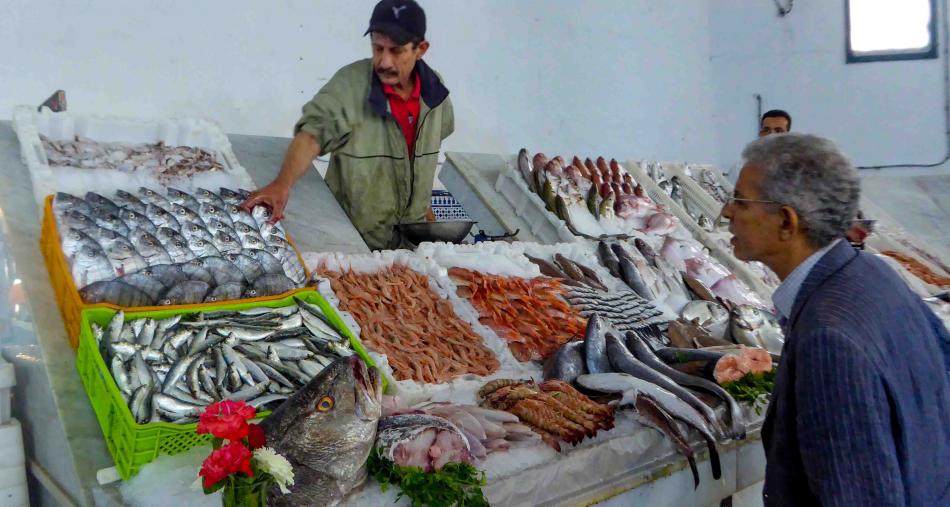 هذه أسباب ارتفاع أسعار السمك في رمضان