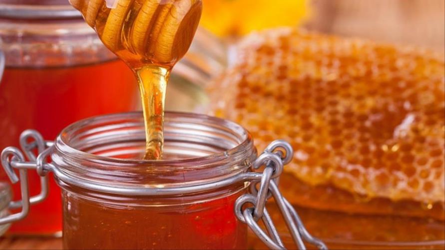 تحذير من الغش .. تراجع إنتاج العسل وارتفاع الأسعار