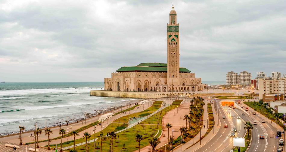مسجد الحسن الثاني .. الشاهين لمواجهة الحمام