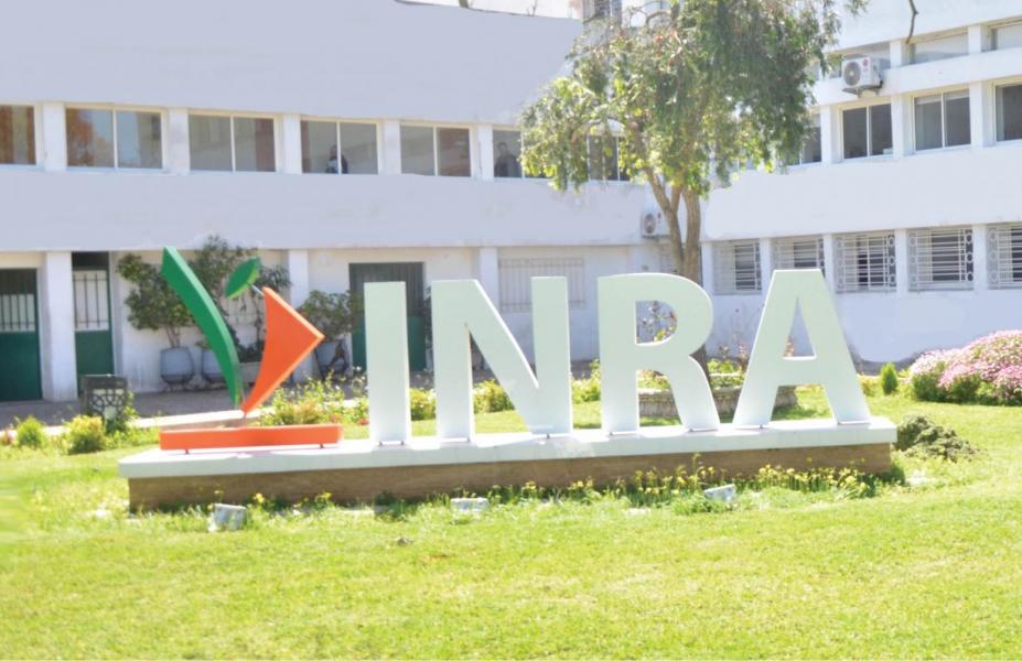 Création du Registre national agricole et de l'INRA: deux projets de loi adoptés