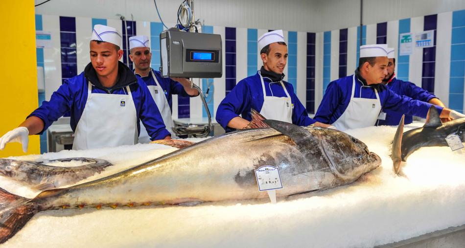 المغرب يؤكد الالتزام "المتواصل" لفائدة الحفاظ على أسماك التونة