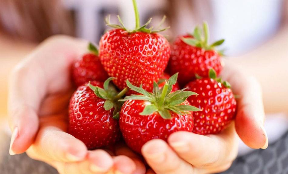 Le ministère de l'Agriculture met en garde contre les fake news concernant les fraises
