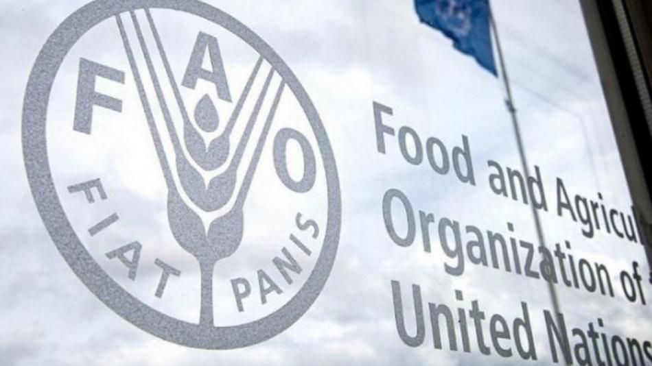 FAO : Le Maroc élu membre du Conseil d’Administration