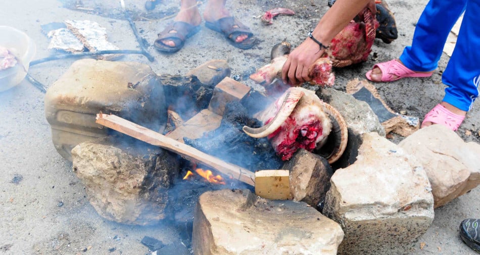 Hématophobie, cette "peur panique" qui gâche la joie de l'Aïd Al-Adha