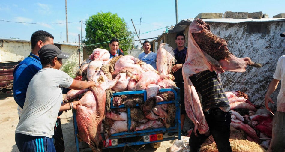 Aïd Al Adha: les peaux de moutons, un enjeu crucial pour l'industrie du cuir au Maroc