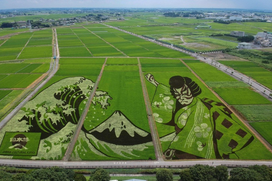 الأولمبياد يحول حقول الأرز في اليابان إلى لوحات فنية