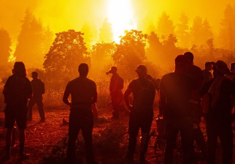 Incendies en Algérie : un pyromane présumé lynché par une foule en colère