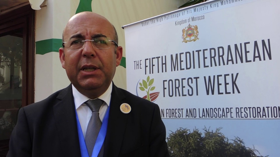 كيف تهدد التغيرات المناخية غابات المغرب؟ مدير وكالة المياه والغابات يجيب