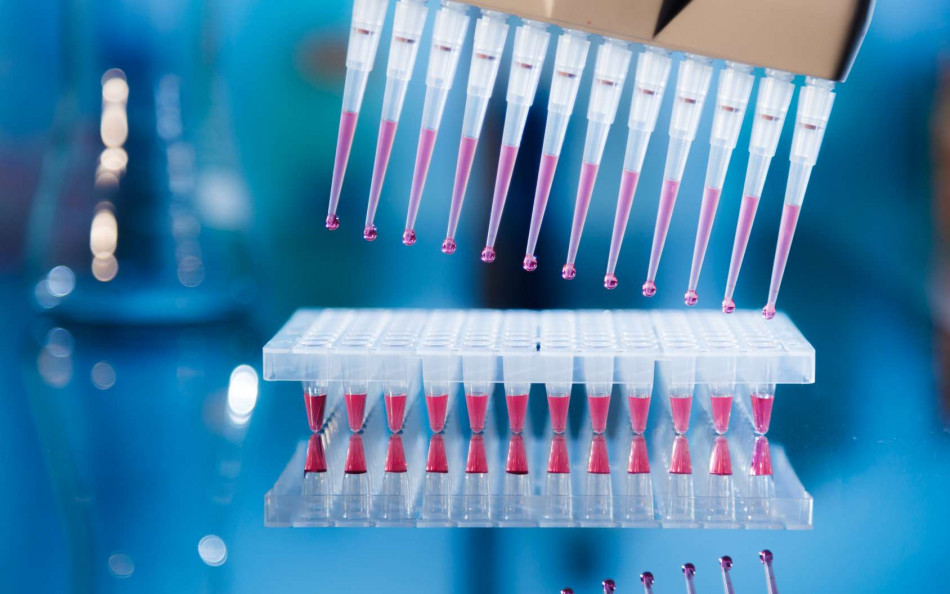 Maladie de Hansen (la Lèpre): le Brésil développe un test moléculaire de diagnostic précoce 