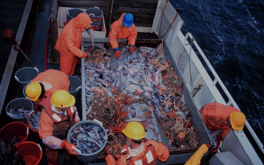 Accords agricole et de pêche UE-Maroc: le tribunal de l'UE rend son jugement de première instance