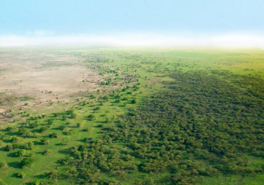 COP26: la Grande muraille verte absorbera 250 millions de tonnes de carbone