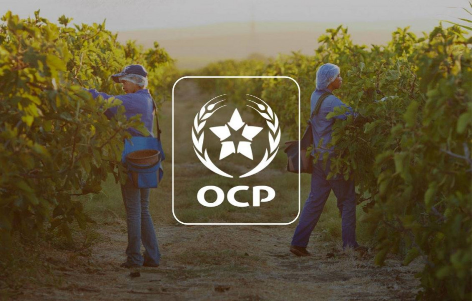  OCP .. مجهودات متواصلة لتحسين مؤشرات الحكامة البيئية