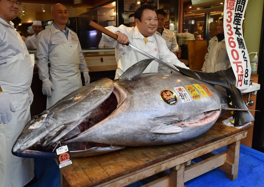 A Tokyo, un thon vendu aux enchères pour 129.000 euros 