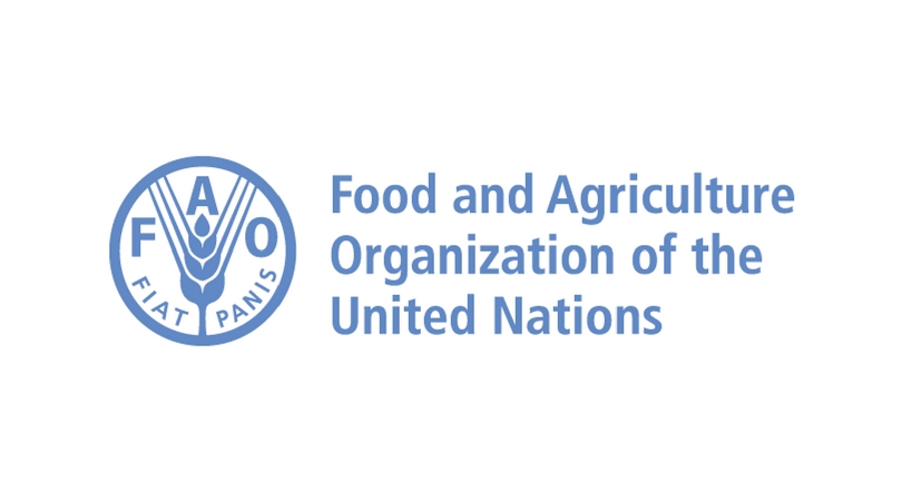 FAO: les prix mondiaux des produits alimentaires fléchissent en décembre 