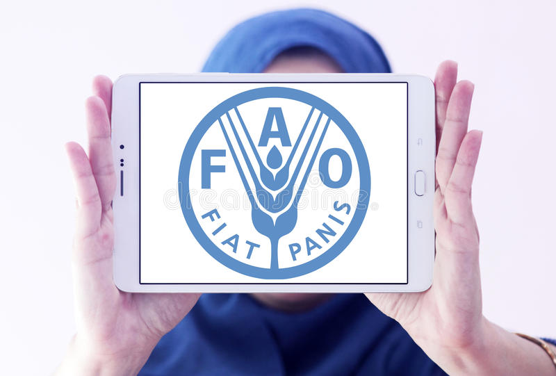 FAO: les prix alimentaires mondiaux ont grimpé en janvier 