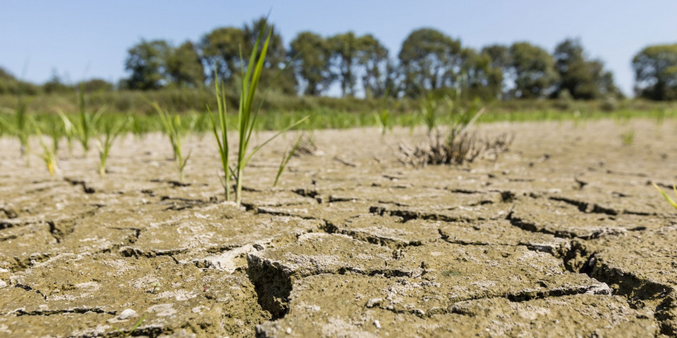 إسبانيا ترصد نحو 12 مليار يورو لتخفيف وطأة الجفاف