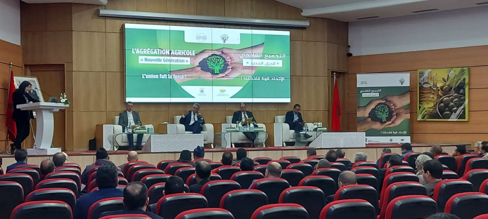 Fès-Meknès: un roadshow sur l'agrégation agricole «New Generation» 
