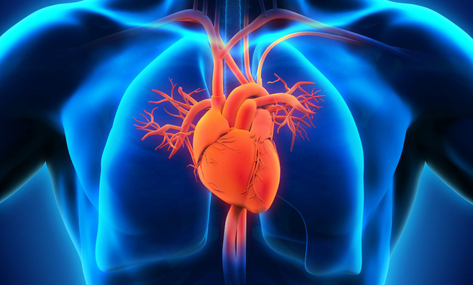 Des troubles cardiaques longtemps après le Covid ? Une menace incertaine