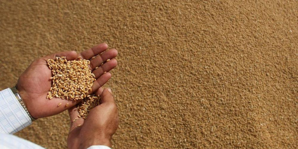 الجفاف ..  توقع ارتفاع واردات المغرب من الحبوب في 2023