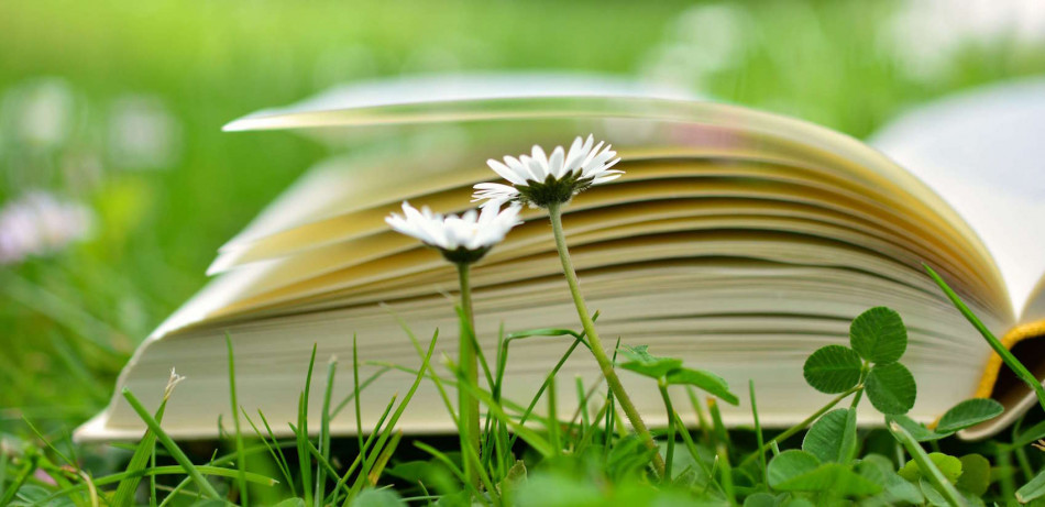 Strasbourg désignée capitale mondiale du livre en 2024 par l'Unesco
