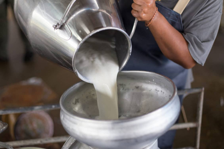 نقص الحليب .. الحكومة تعد بتدابير لدعم الإنتاج
