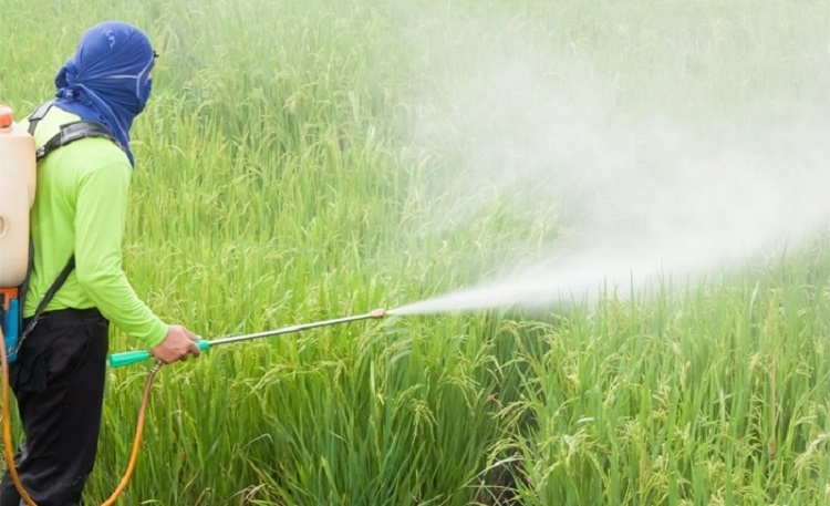 خبراء يحذرون من مخاطر المبيدات في الفلاحة