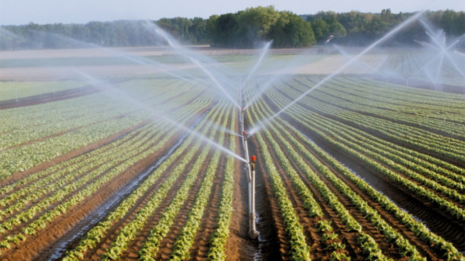 الأحواض المائية.. الوزير بركة يعد بتدابير لإنقاذ المحاصيل