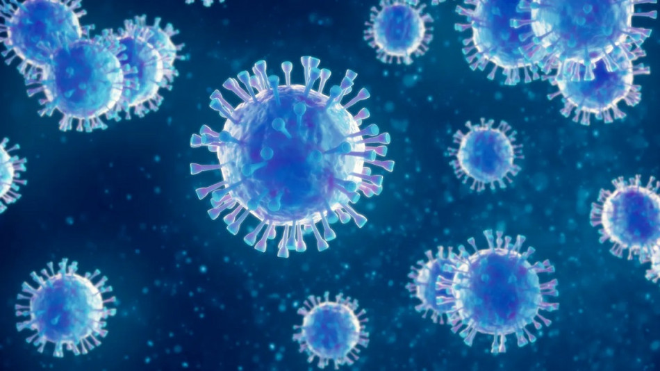Mpox: l'OMS maintient son niveau d'alerte maximal