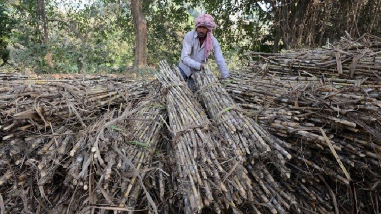 Après le blé, l'Inde restreint l'exportation de sucre