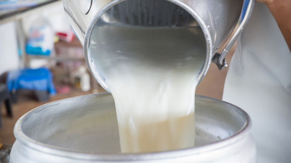 Hausse du prix du lait: les précisions du ministère de l'Economie