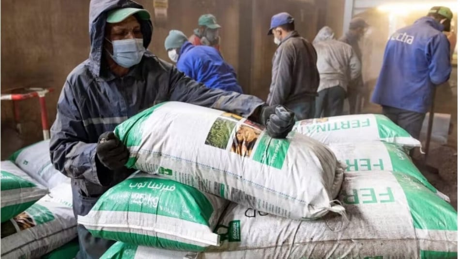 Le Maroc en passe de devenir la clé de voûte de l’approvisionnement alimentaire mondial