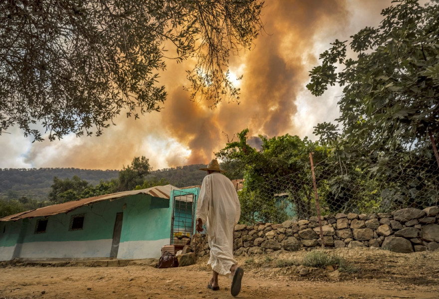 Larache: les opérations se poursuivent pour maîtriser les feux de forêt