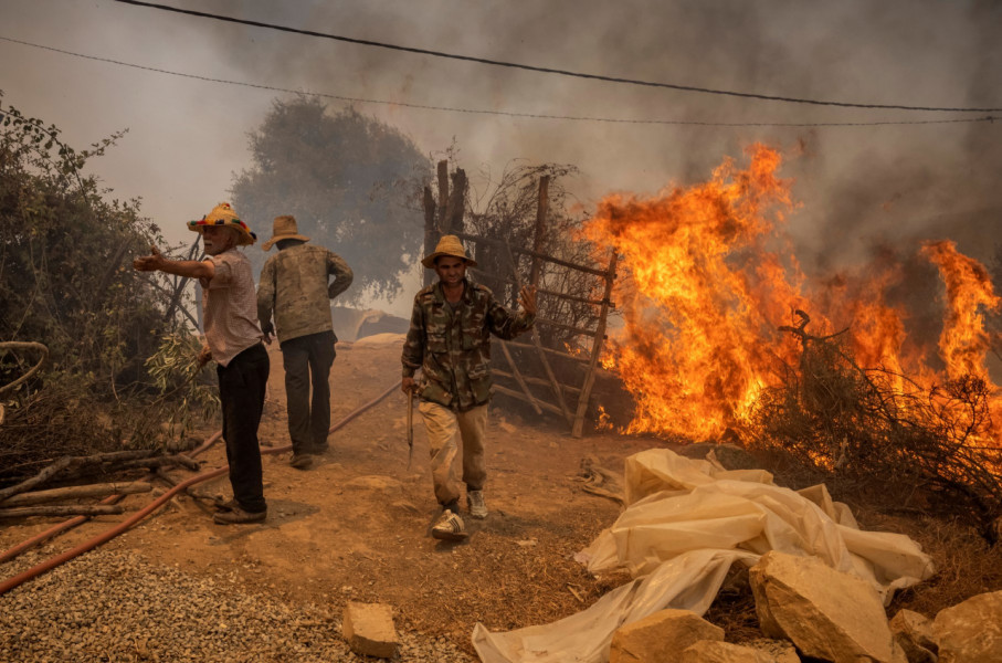 Feux de forêt à Larache: un mort et plus de 1.000 familles évacuées