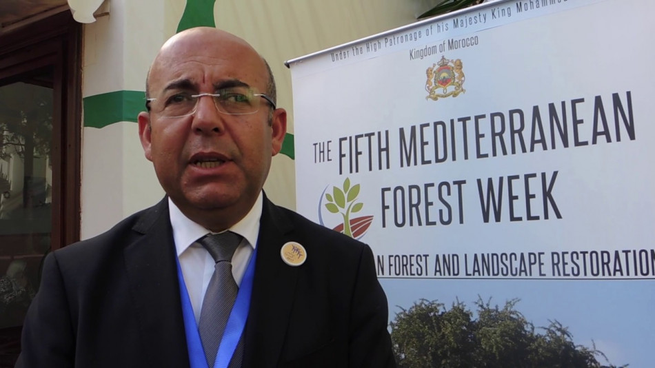 Le DG de l'Agence nationale des eaux et forêts: les incendies dans les régions du nord étaient exceptionnels 