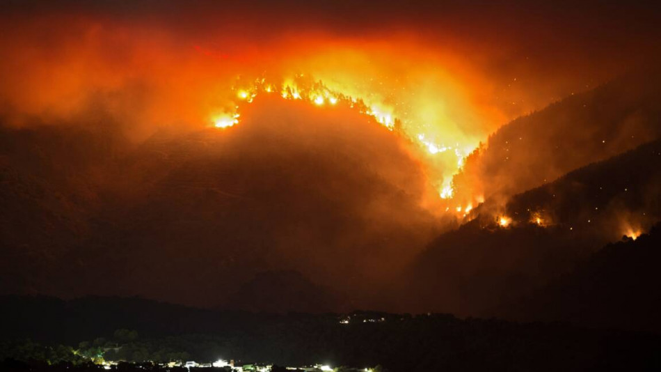 Espagne : Plus de 200.000 hectares de forêt brûlés en 2022