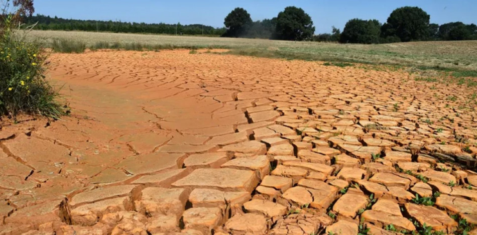 المحاصيل الأوروبية في خطر جراء شهر يوليوز الأكثر جفافًأ