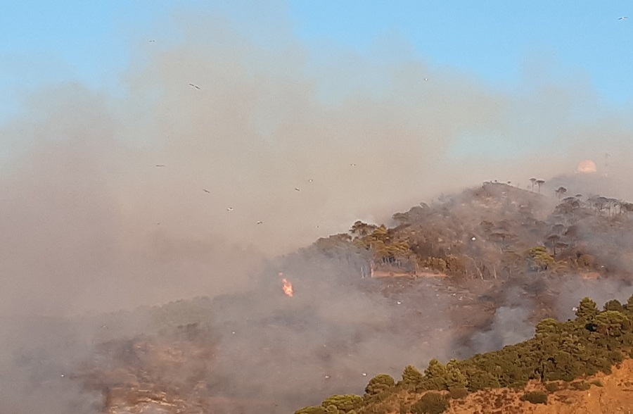 Feux de forêt à M’diq: trois pompiers perdent la vie