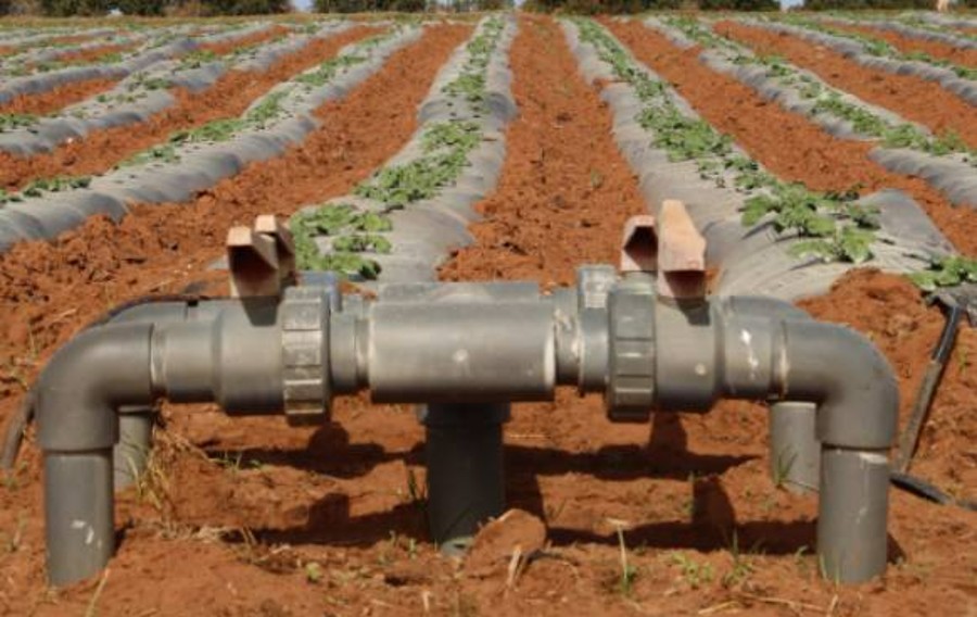 Ouarzazate: des efforts vigoureux pour améliorer la gestion de l'eau d'irrigation