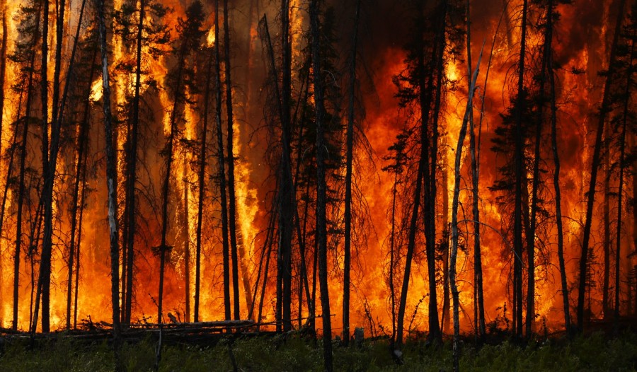 Espagne: premier feu de forêt majeur de la saison