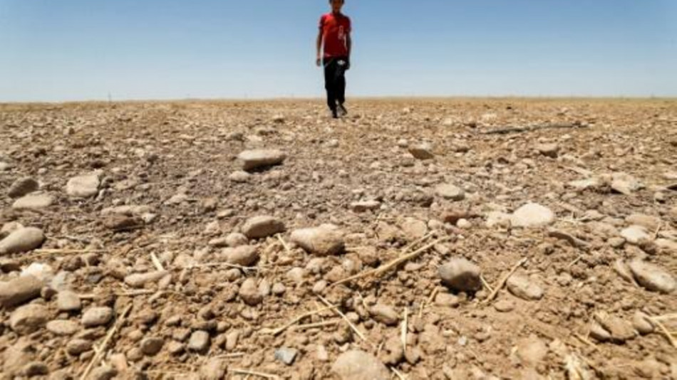 التغير المناخي زاد 20 مرة من احتمالات حدوث الجفاف