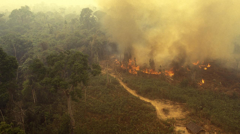 Brésil: plus d'incendies en Amazonie depuis janvier que sur toute l'année 2021
